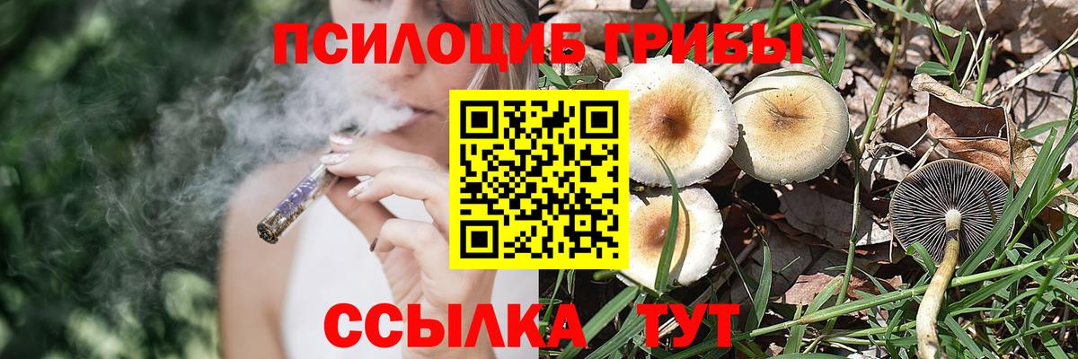 Петрозаводск  Псилоцибиновые грибы прущие грибы  Вход с VPN 