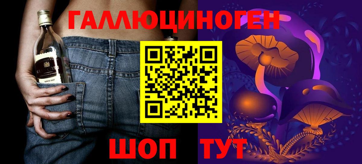 Псилоцибиновые грибы Psilocybe Петрозаводск